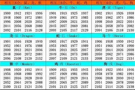 2002年 生肖|2002年属什么生肖 2002年属什么的生肖